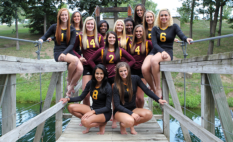Volleyball Team Knocked out of District Tourney