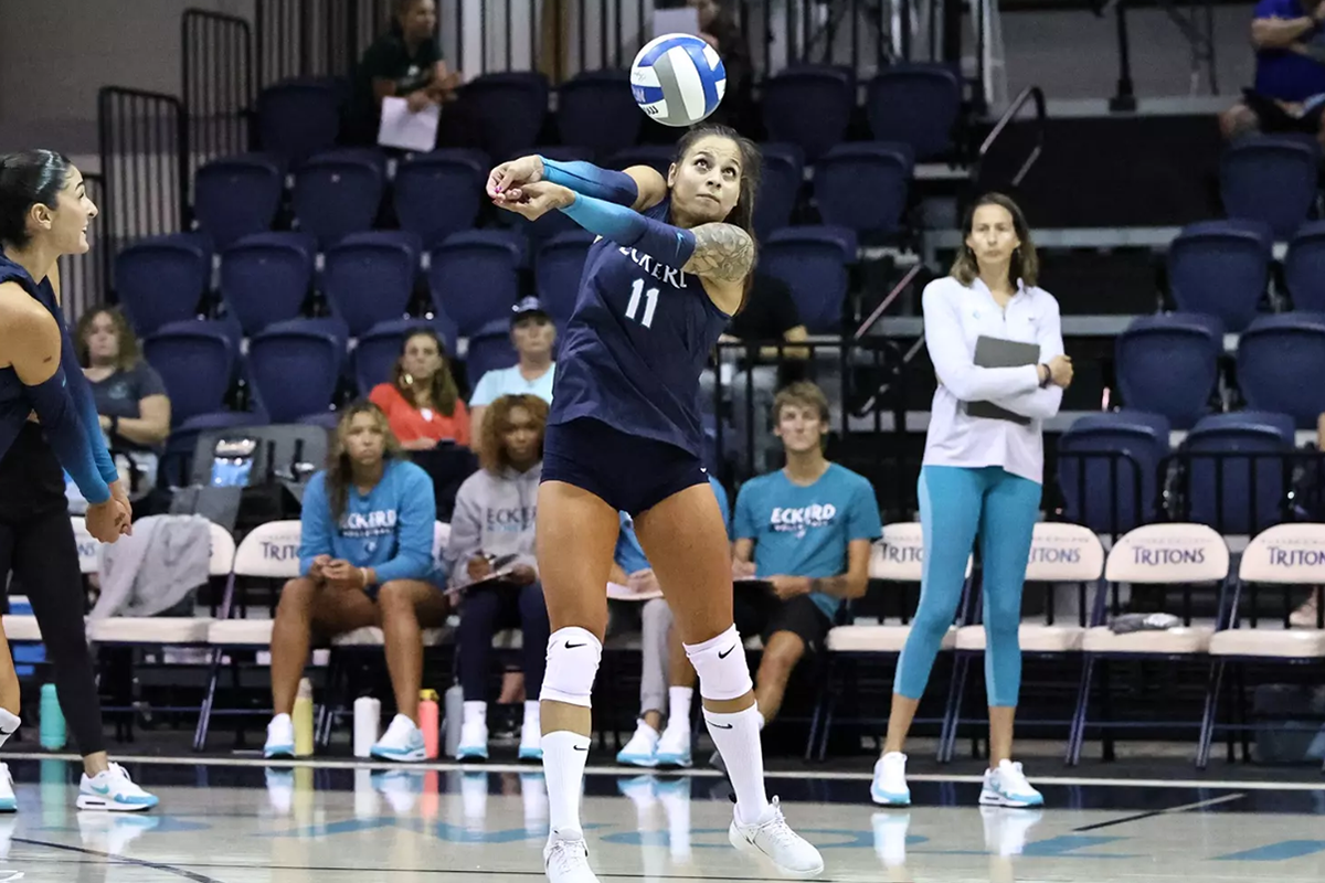 FORMER WARRIORS SET TO CHASE A NATIONAL TITLE